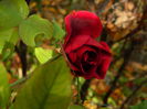 DSCN3472