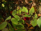 DSCN3473