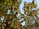DSCN3481