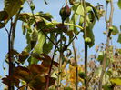 DSCN3485