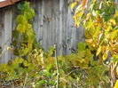 DSCN3504