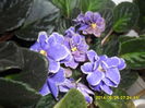 SAM_5689