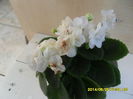 SAM_5701