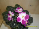 SAM_5702
