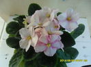 SAM_5713