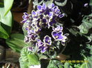 SAM_6540