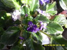 SAM_6542
