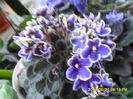 SAM_6587