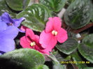 SAM_7409