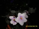 SAM_7459