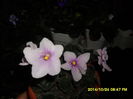 SAM_7460