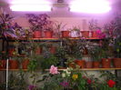 DSCN7171