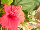 DSCN7177