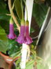 DSCN7178