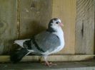 Imag 011952