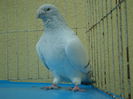 SAM_4170