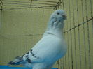 SAM_4192