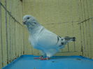 SAM_4197
