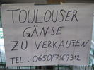 de vanzare