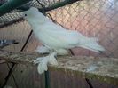 IMG-20141026-01071