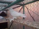 IMG-20141026-01073