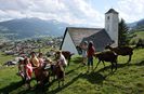 Alpine cu ugere mari frumoase