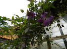 DSCN3572