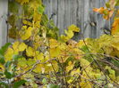 DSCN3579