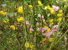 DSCN3586
