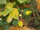 DSCN3600