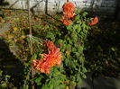 DSCN2973