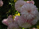 DSCN2976