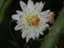 DSCN3044