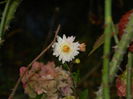 DSCN3046