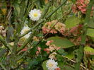 DSCN3224