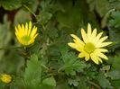 DSCN3522