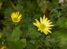 DSCN3523