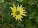 DSCN3537