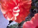 20141106_160358