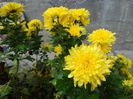 DSC01408