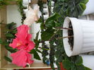SAM_0270