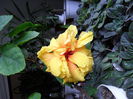 SAM_0272