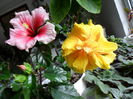 SAM_0273