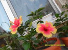 SAM_7200