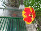 SAM_0033