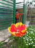 SAM_0034