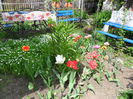 SAM_0035