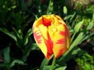 SAM_0060