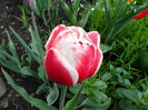 SAM_0061