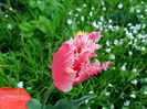 SAM_0062